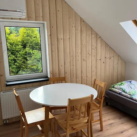 Naskarpie Jacuzzi Sauna Basen Apartman Wisła