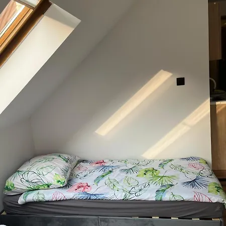 Apartment Naskarpie Jacuzzi Sauna Basen Wisla